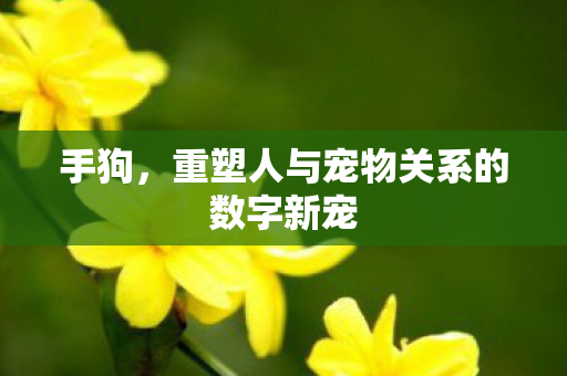 重塑人与宠物关系的数字新宠图片
