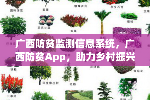 助力乡村振兴的数字盾牌图片