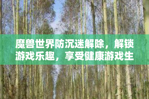 魔兽世界防沉迷解除图片