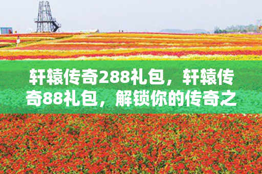 轩辕传奇288礼包图片