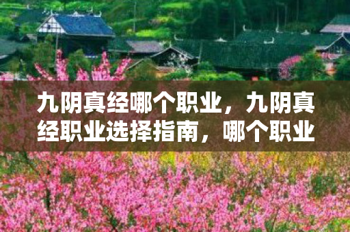 九阴真经哪个职业，九阴真经职业选择指南，哪个职业最厉害？