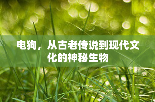 从古老传说到现代文化的神秘生物图片