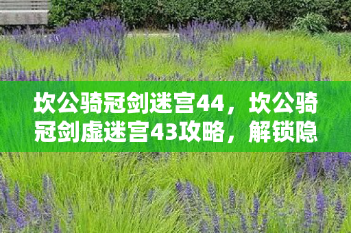 坎公骑冠剑虚迷宫43攻略图片