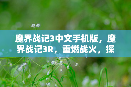 魔界战记3中文手机版图片