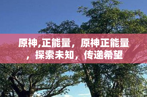 原神正能量图片