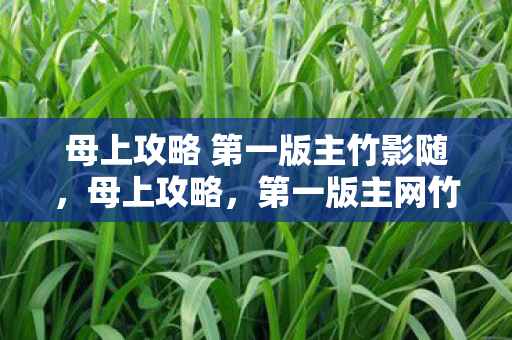 第一版主网竹随行的智慧与温情图片