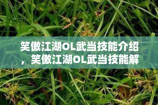 笑傲江湖OL武当技能介绍，笑傲江湖OL武当技能解析