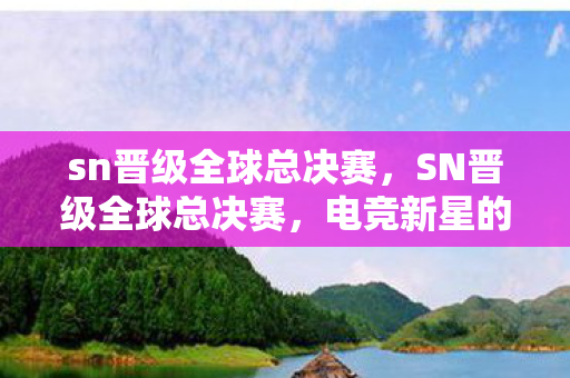 sn晋级全球总决赛图片