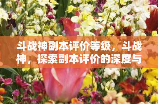 探索副本评价的深度与魅力图片