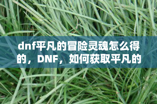 dnf平凡的冒险灵魂怎么得的图片