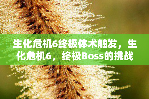 生化危机6终极体术触发图片