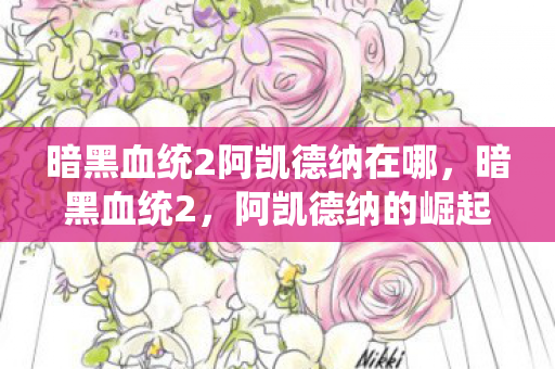 暗黑血统2阿凯德纳在哪图片