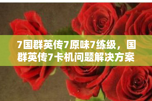 国群英传7卡机问题解决方案图片