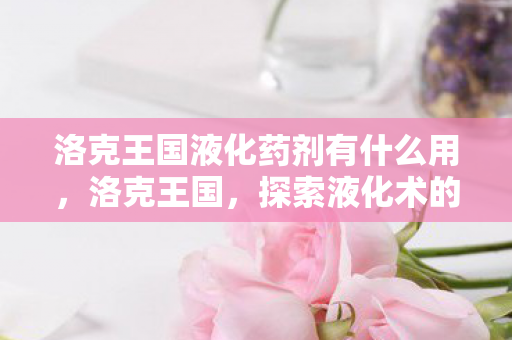 洛克王国液化药剂有什么用图片