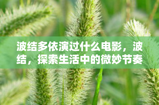 波结多依演过什么电影图片