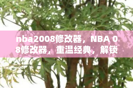 nba2008修改器图片