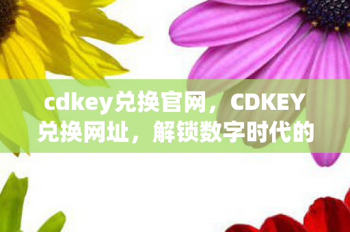 解锁数字时代的新钥匙图片