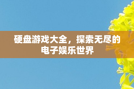 硬盘游戏大全，探索无尽的电子娱乐世界