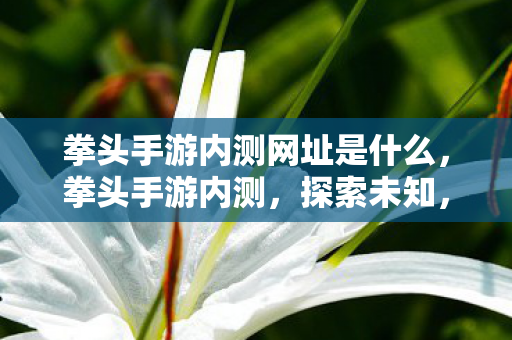 拳头手游内测网址是什么图片