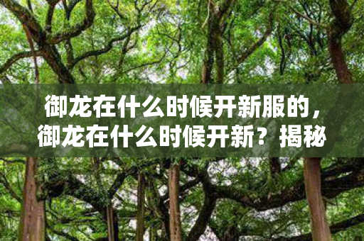 御龙在什么时候开新服的图片