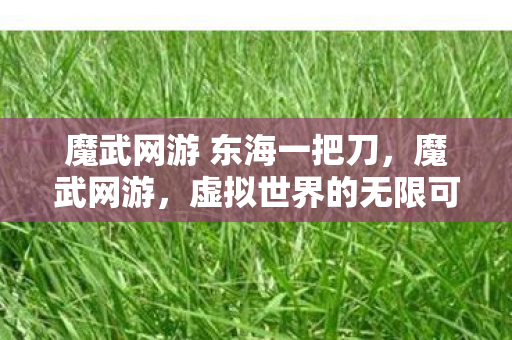 魔武网游 东海一把刀图片
