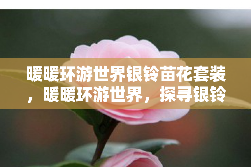 暖暖环游世界银铃苗花套装图片