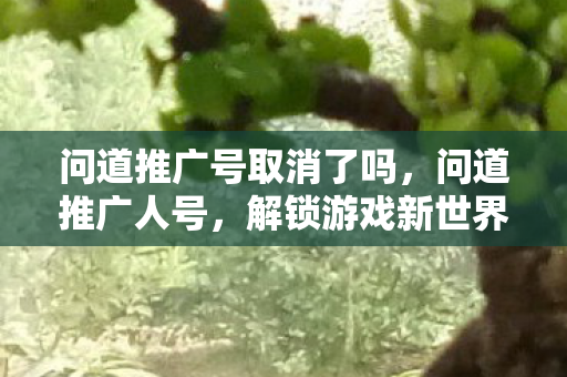 解锁游戏新世界的神秘钥匙图片