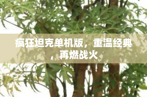 疯狂坦克单机版图片