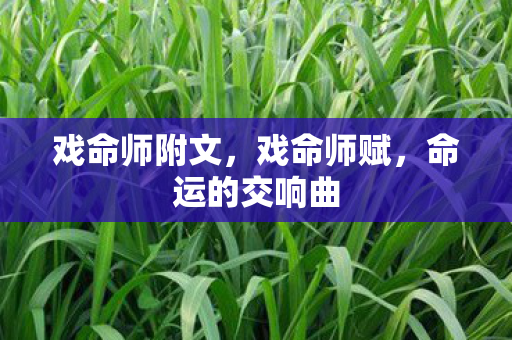 命运的交响曲图片