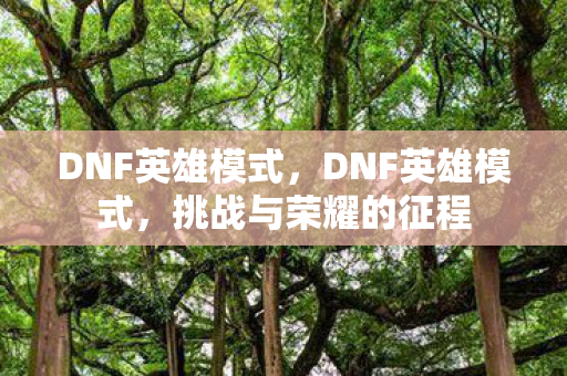 挑战与荣耀的征程图片