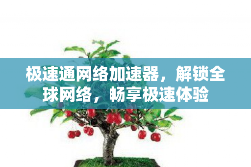 极速通网络加速器图片