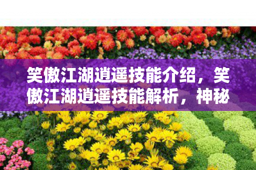 笑傲江湖逍遥技能介绍，笑傲江湖逍遥技能解析，神秘力量的探索之旅