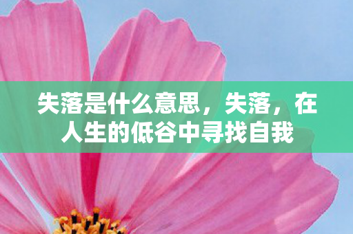 在人生的低谷中寻找自我图片