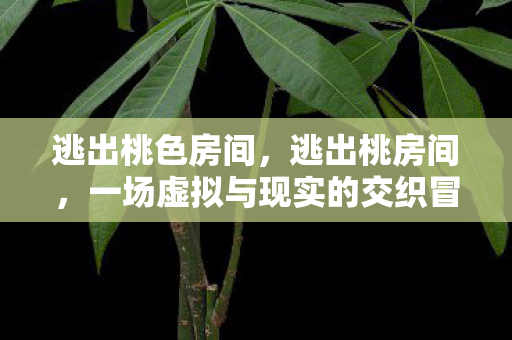 一场虚拟与现实的交织冒险图片