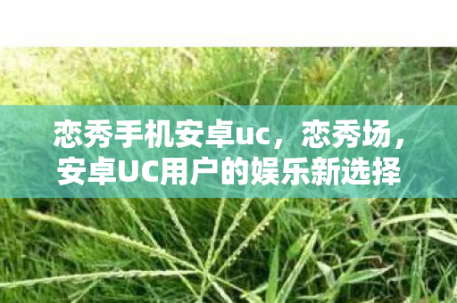 安卓UC用户的娱乐新选择图片