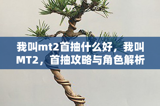 我叫mt2首抽什么好图片