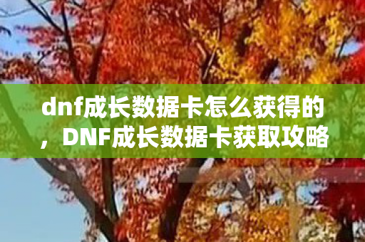 dnf成长数据卡怎么获得的图片