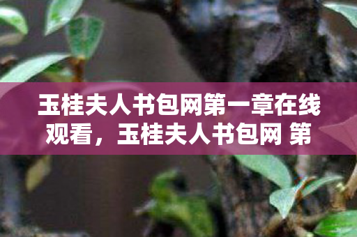 玉桂夫人书包网第一章在线观看图片