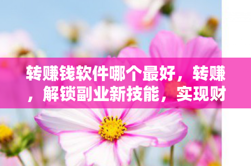 转赚钱软件哪个最好图片