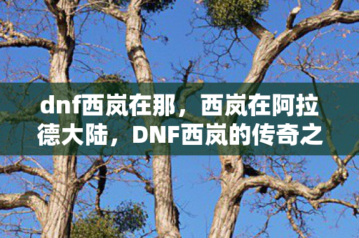 DNF西岚的传奇之旅图片