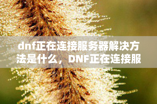 dnf正在连接服务器解决方法是什么图片