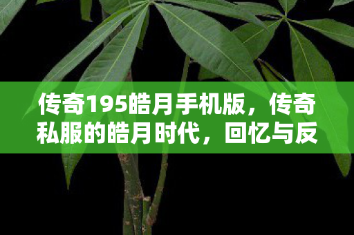 传奇195皓月手机版图片