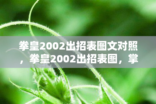 拳皇2002出招表图文对照图片