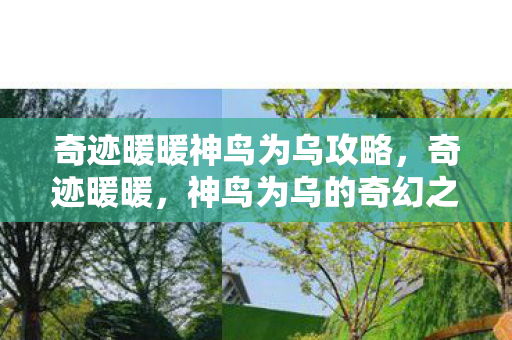 奇迹暖暖神鸟为乌攻略图片