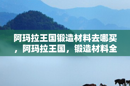 阿玛拉王国锻造材料去哪买图片
