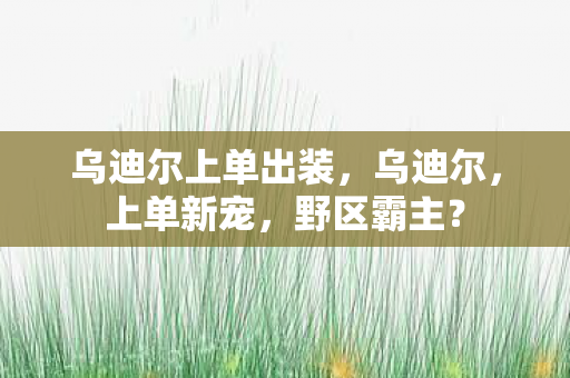 乌迪尔上单出装图片