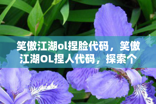 笑傲江湖ol捏脸代码，笑傲江湖OL捏人代码，探索个性角色创造的奇妙世界