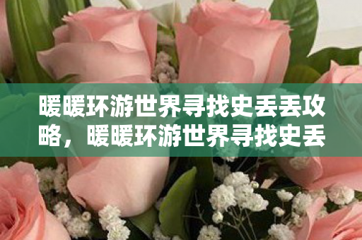 暖暖环游世界寻找史丢丢攻略图片