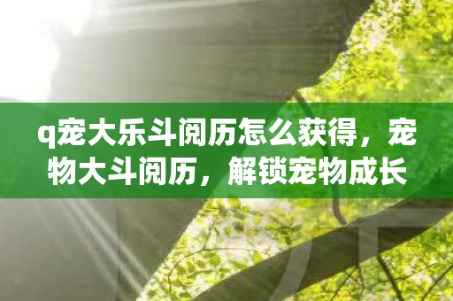 q宠大乐斗阅历怎么获得图片
