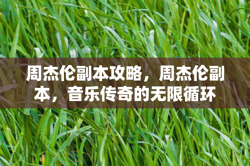 周杰伦副本攻略，周杰伦副本，音乐传奇的无限循环